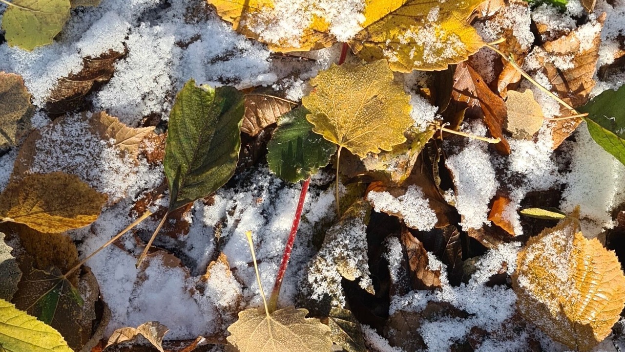 Photo of Outdoor in Schoenfeld-Weissig