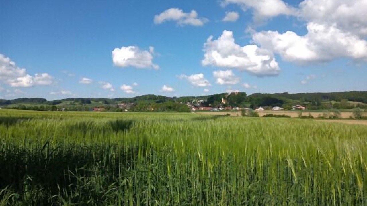Photo of Others in Neuburg an der Kammel