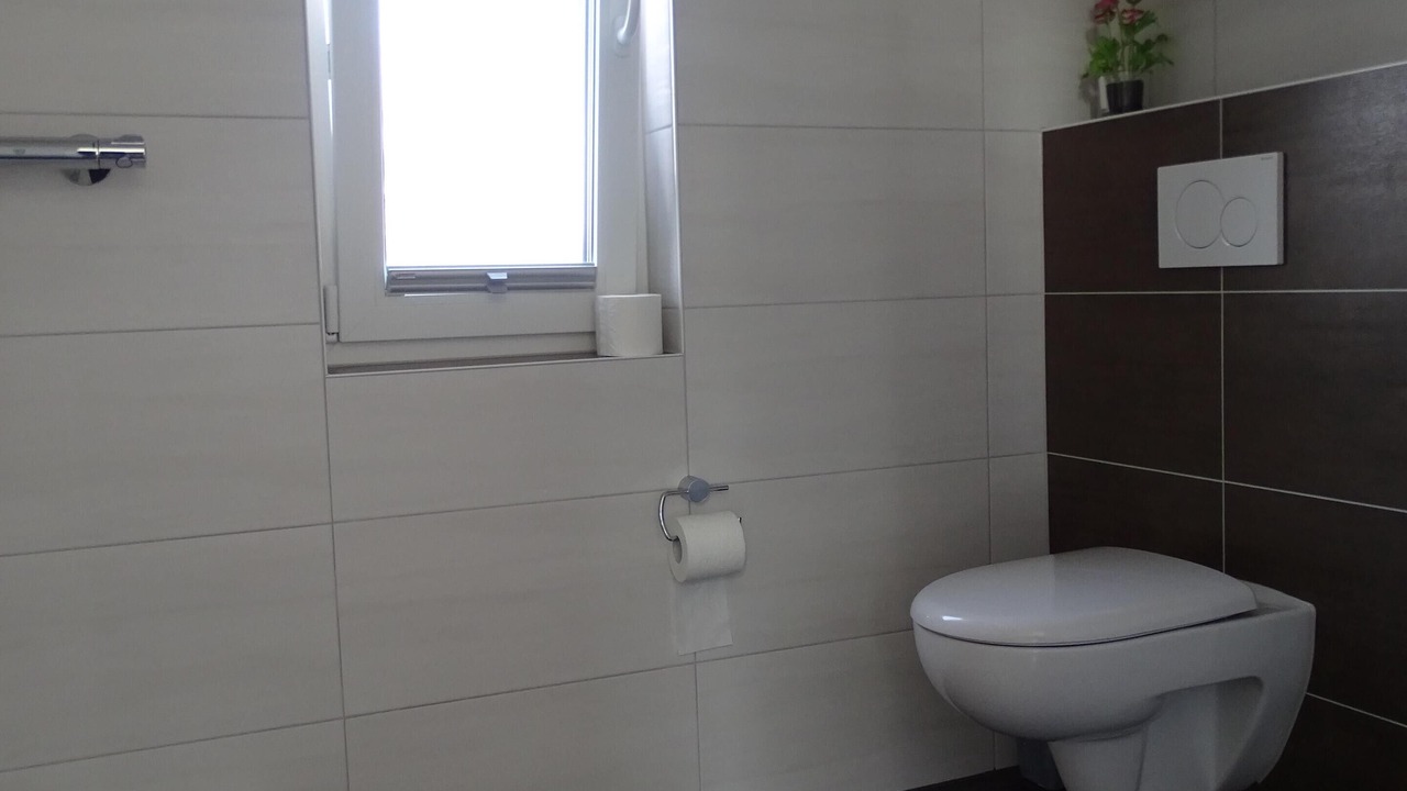 Photo of Bathroom in Haddorfer Seen