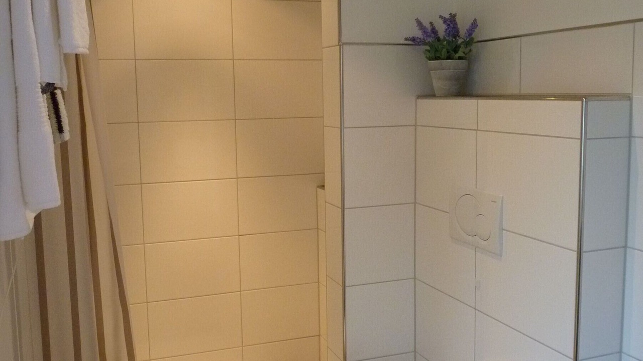 Photo of Bathroom in Haddorfer Seen