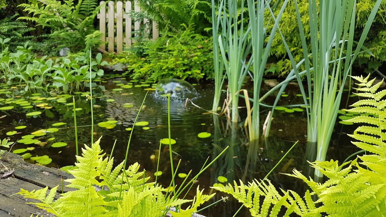 Photo of Outdoor in Leeden