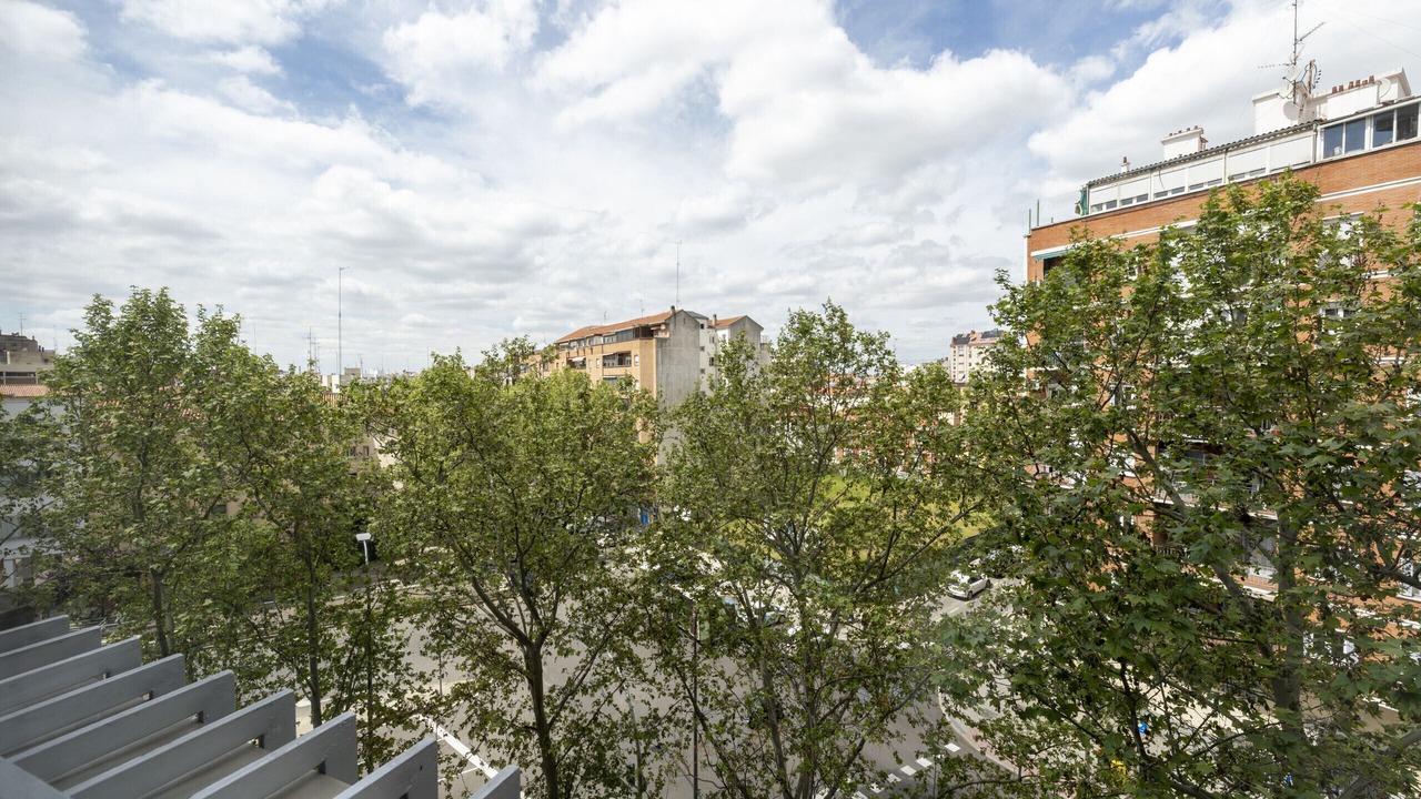 Photo of Others in Castillejos