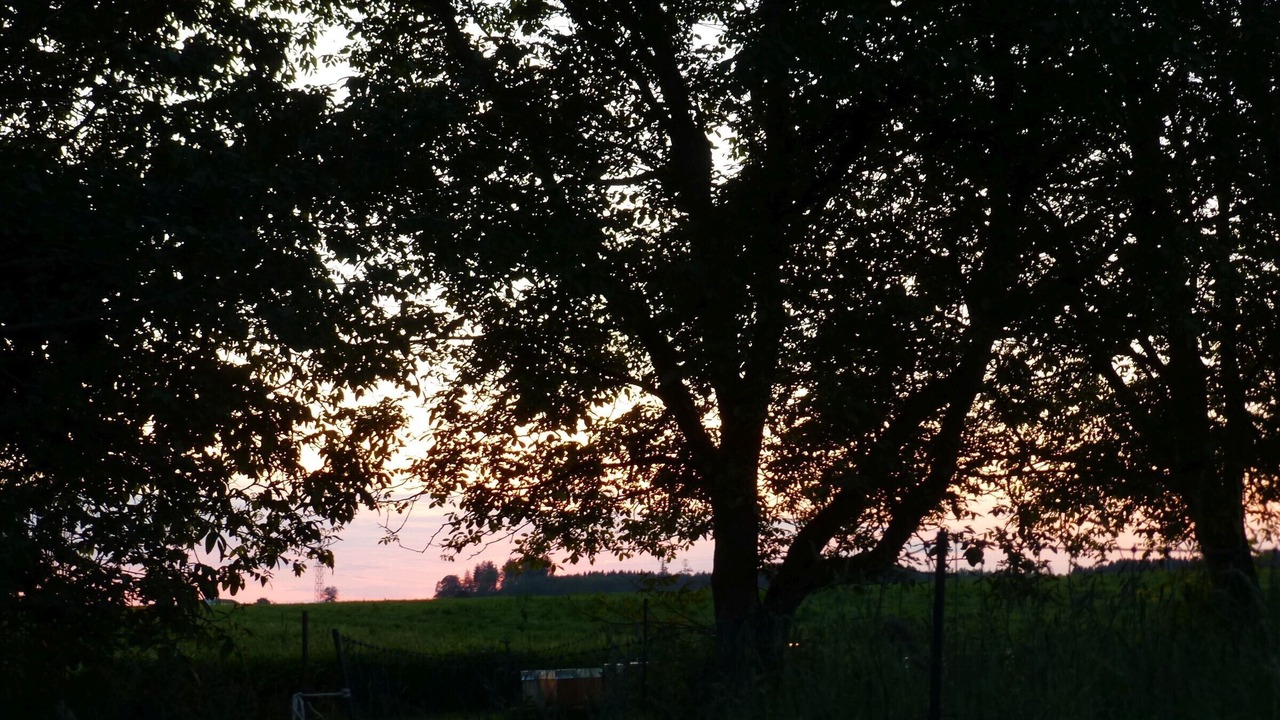 Photo of Others in Ostrach