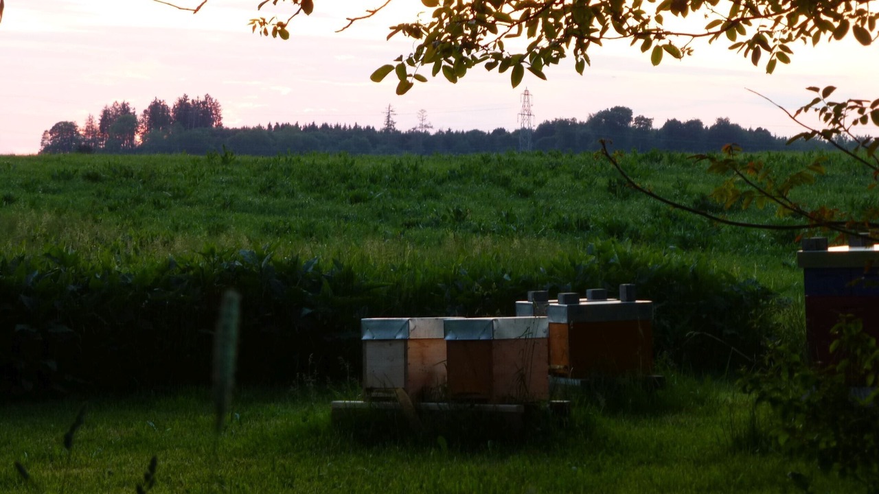 Photo of Outdoor in Ostrach