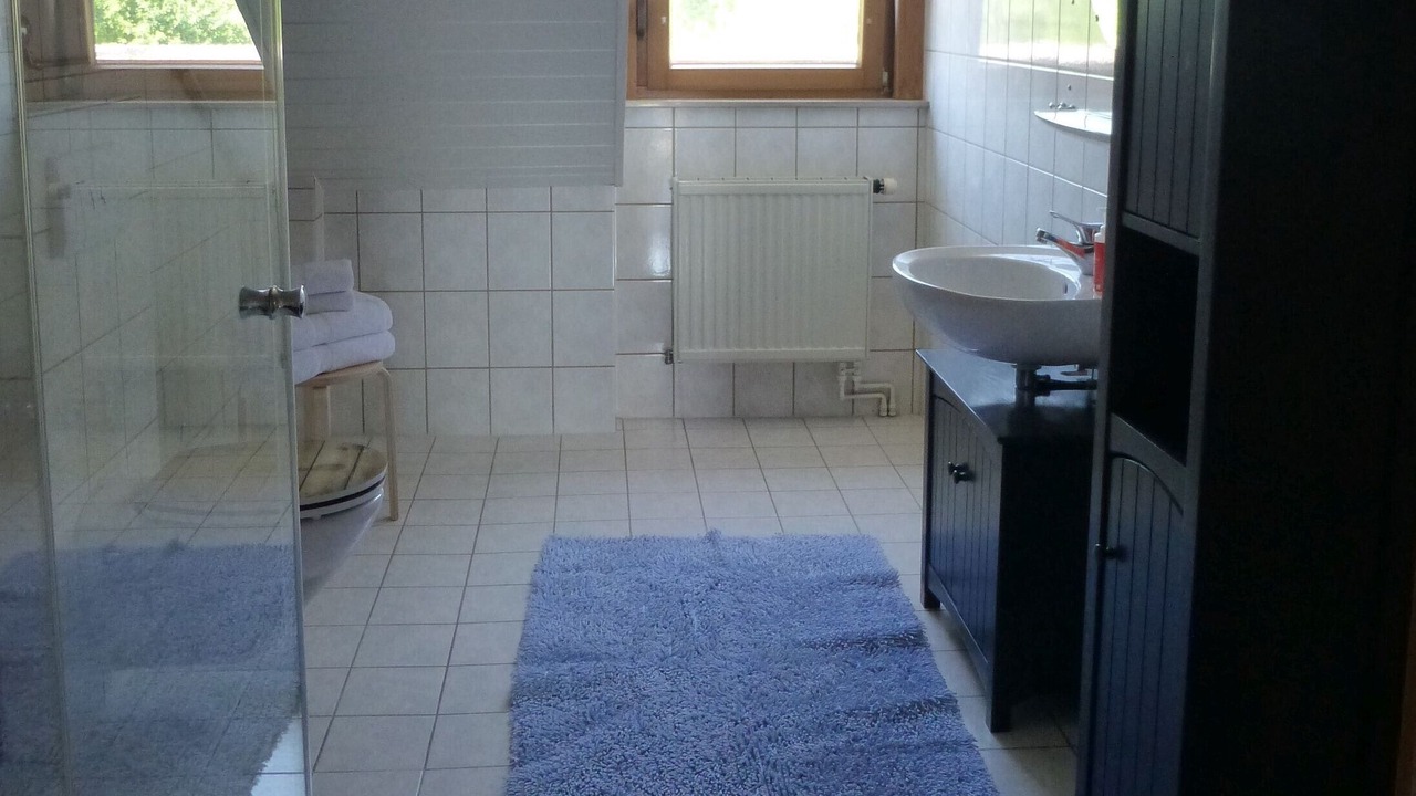 Photo of Bathroom in Ostrach