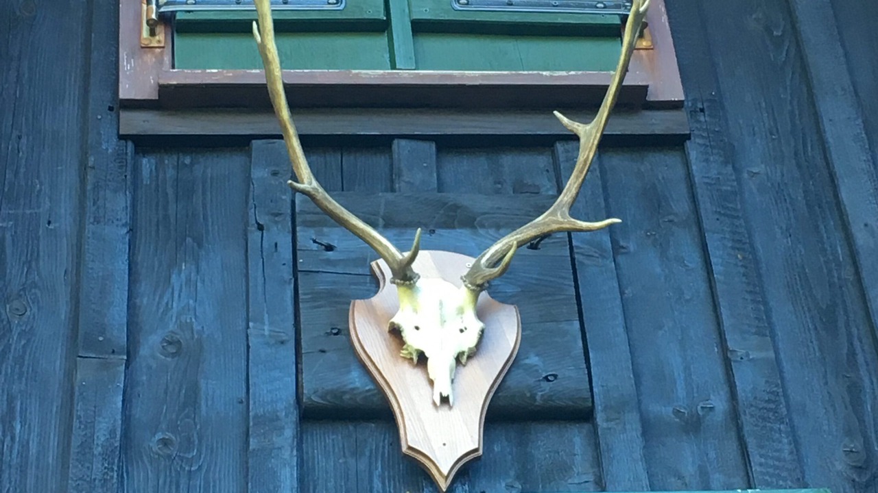 Photo of Outdoor in Oberreute