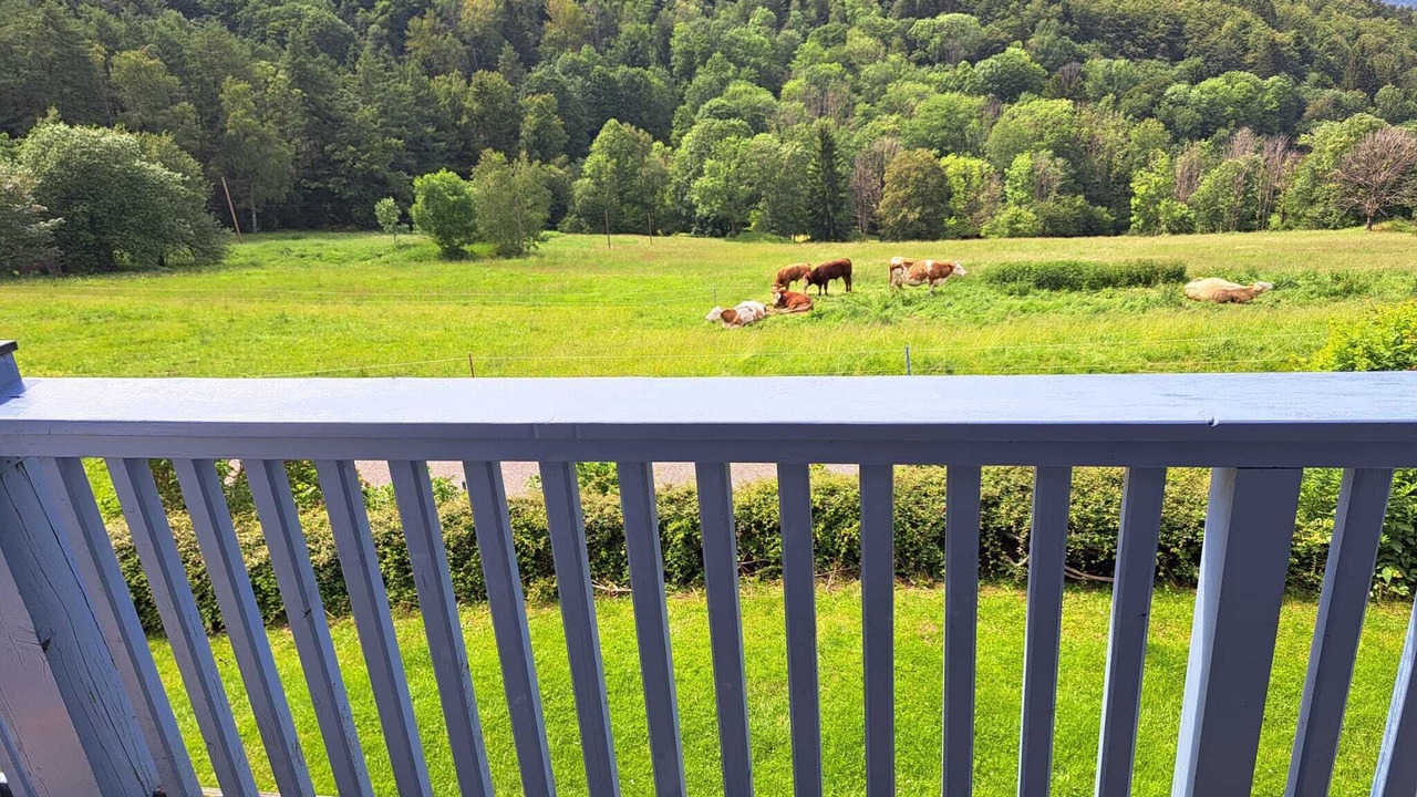 Photo of Outdoor in Schofweg