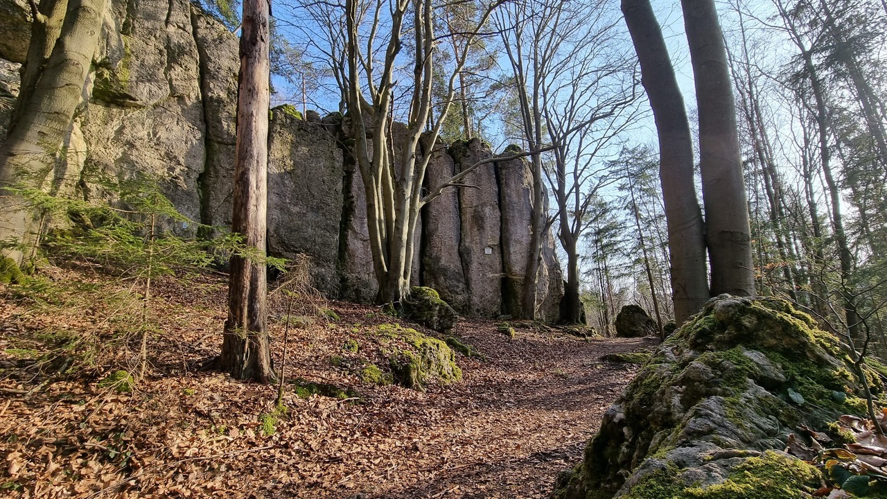 Photo of Others in Weigendorf