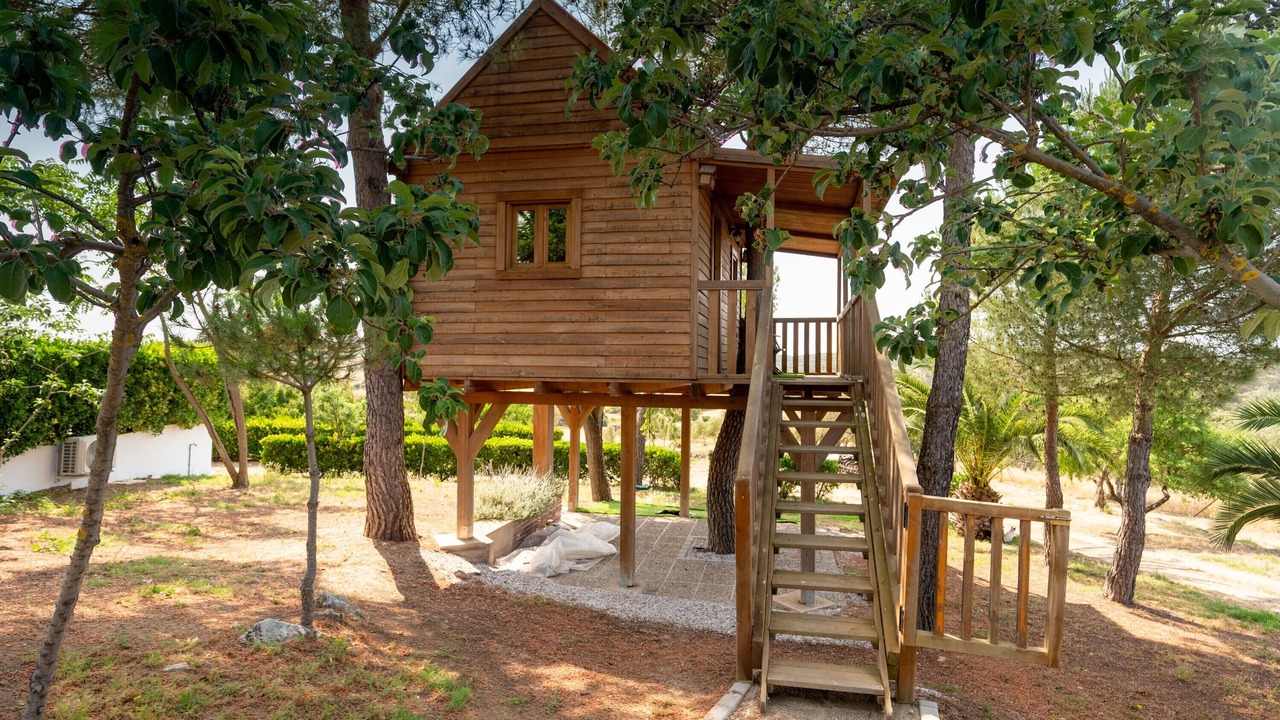 Photo of Outdoor in Alanis
