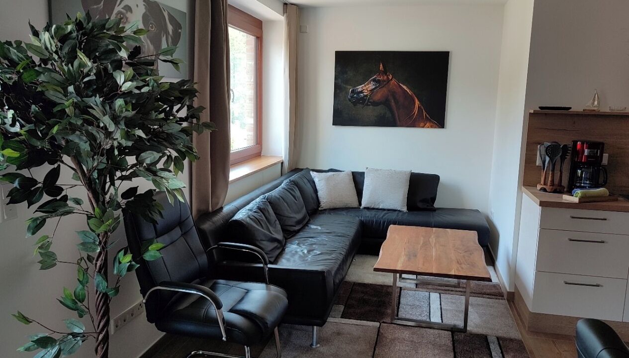 Photo of Livingroom in Metelen