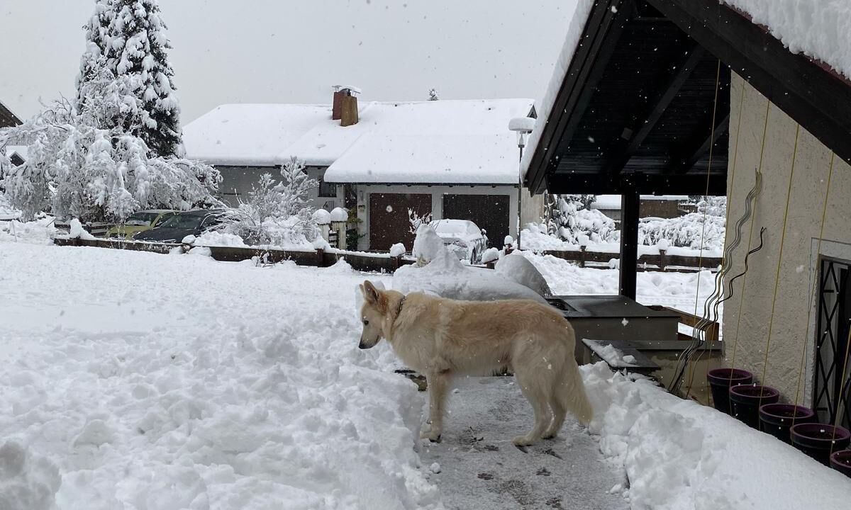 Photo of Outdoor in Winkl