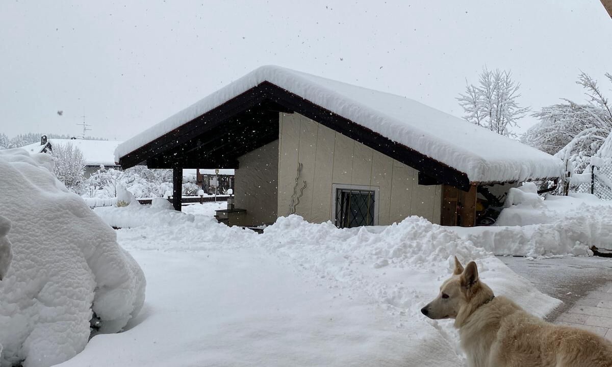 Photo of Outdoor in Winkl