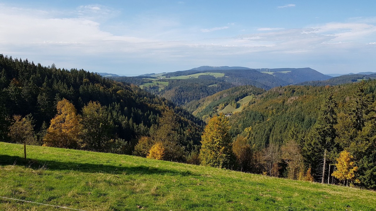 Photo of Others in Schoenwald