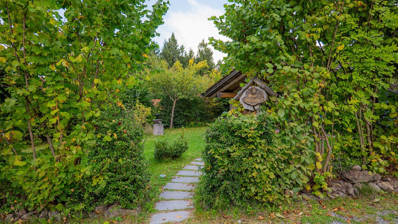 Photo of Outdoor in Sankt Englmar