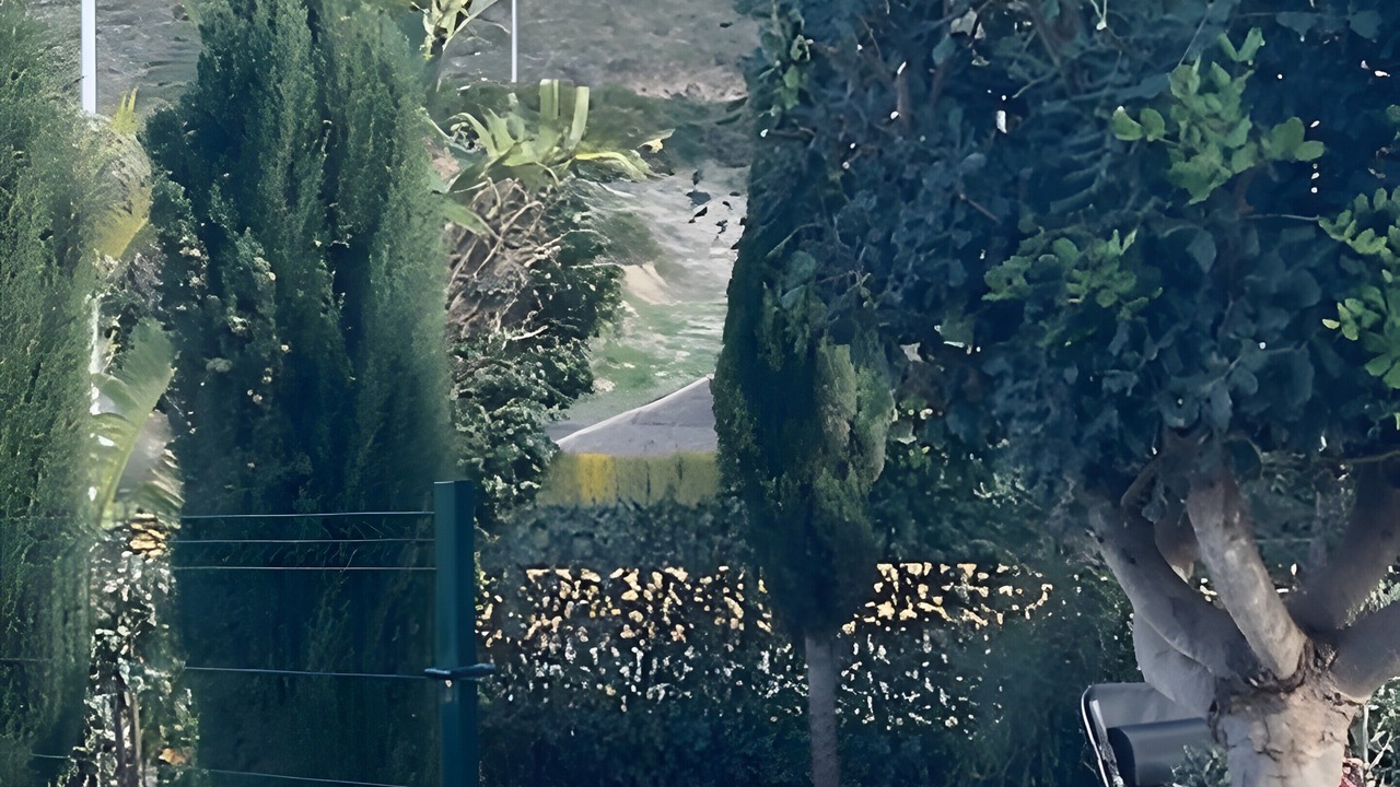 Photo of Outdoor in Mazarron