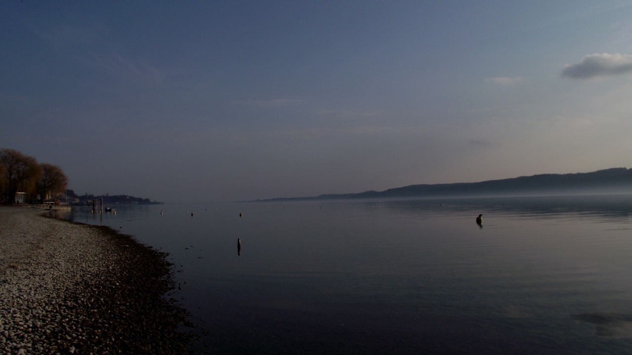 Photo of Others in Sipplingen