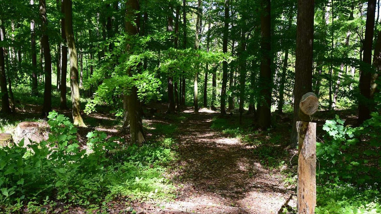 Photo of Others in Balve