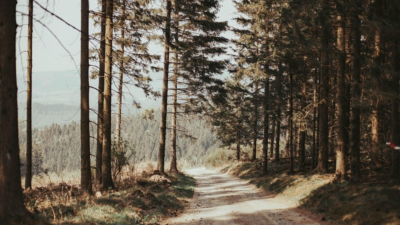 Photo of Others in Sorpetal