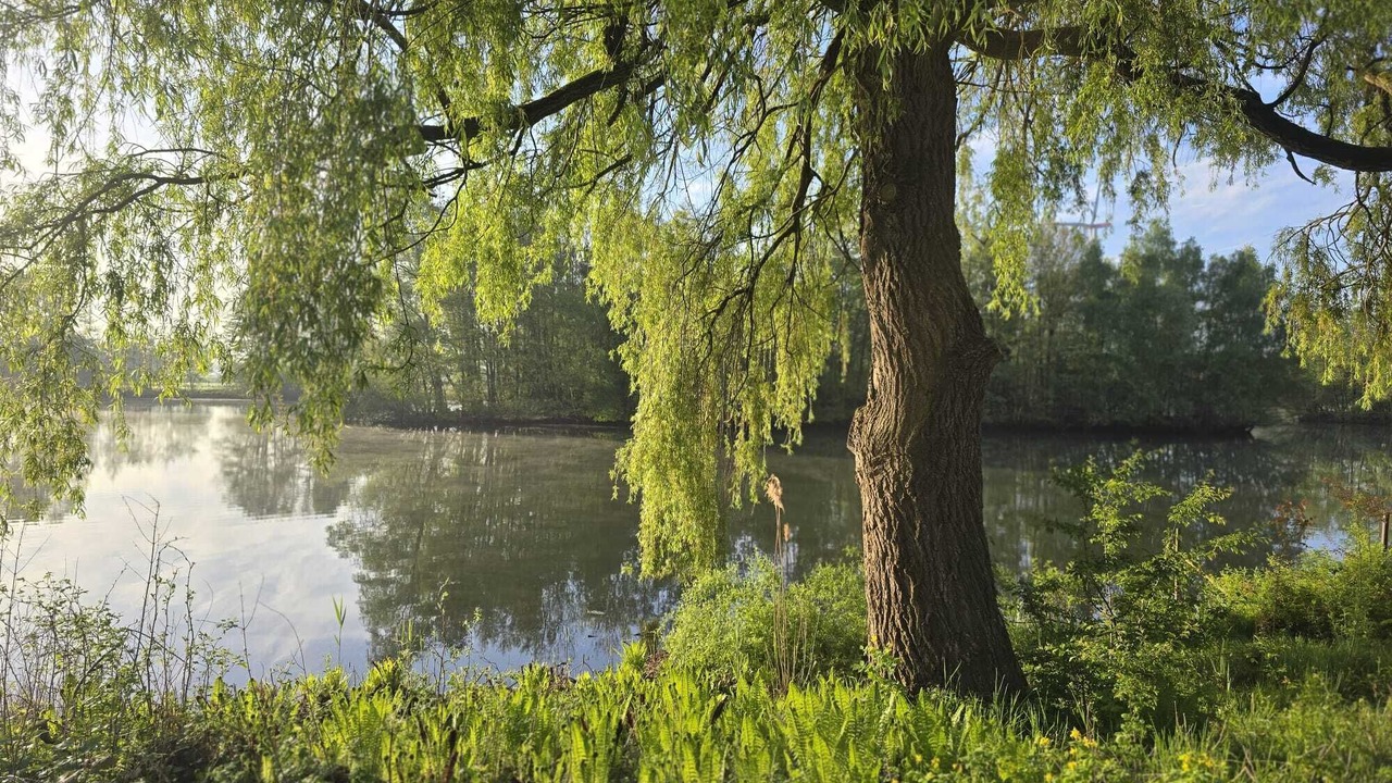 Photo of Others in Metelen