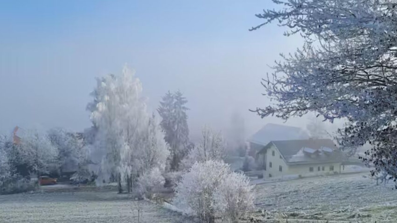 Photo of Others in Windorf