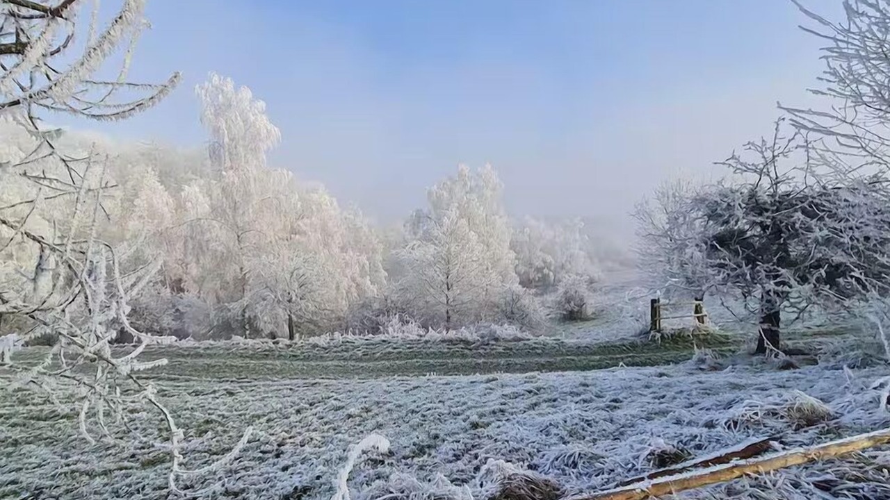 Photo of Others in Windorf
