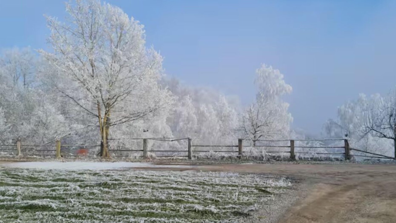 Photo of Others in Windorf