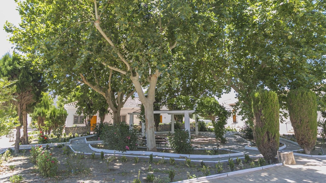 Photo of Outdoor in Orgiva