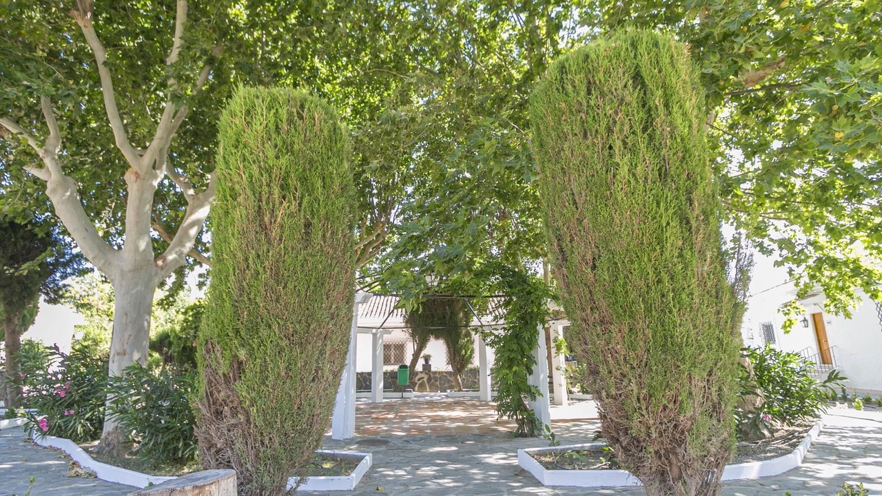 Photo of Outdoor in Orgiva