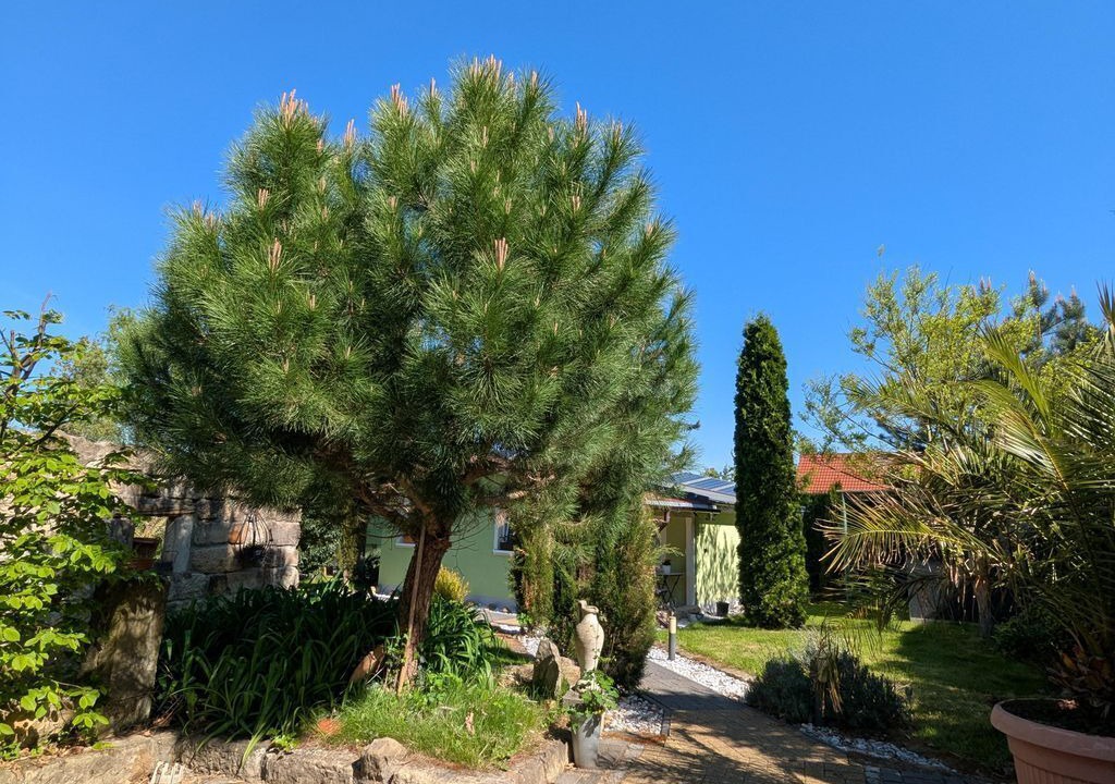 Photo of Outdoor in Struppen-Siedlung