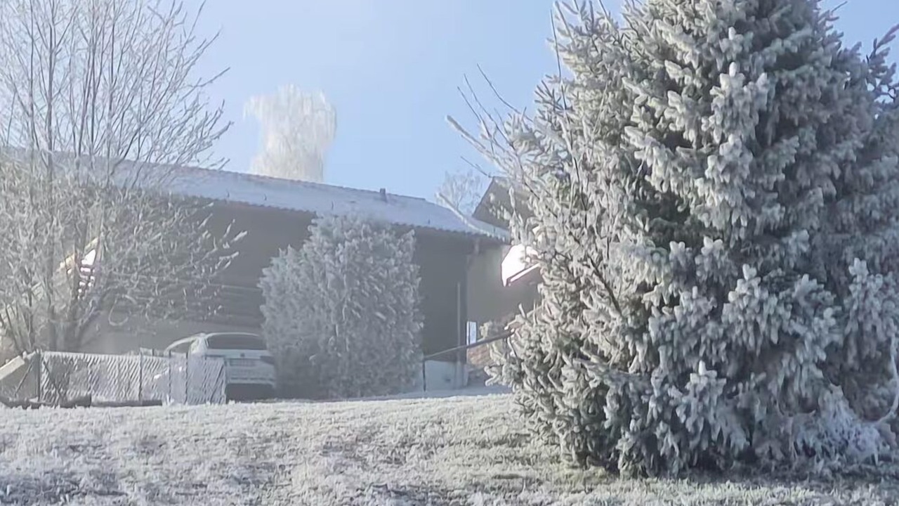 Photo of Outdoor in Windorf