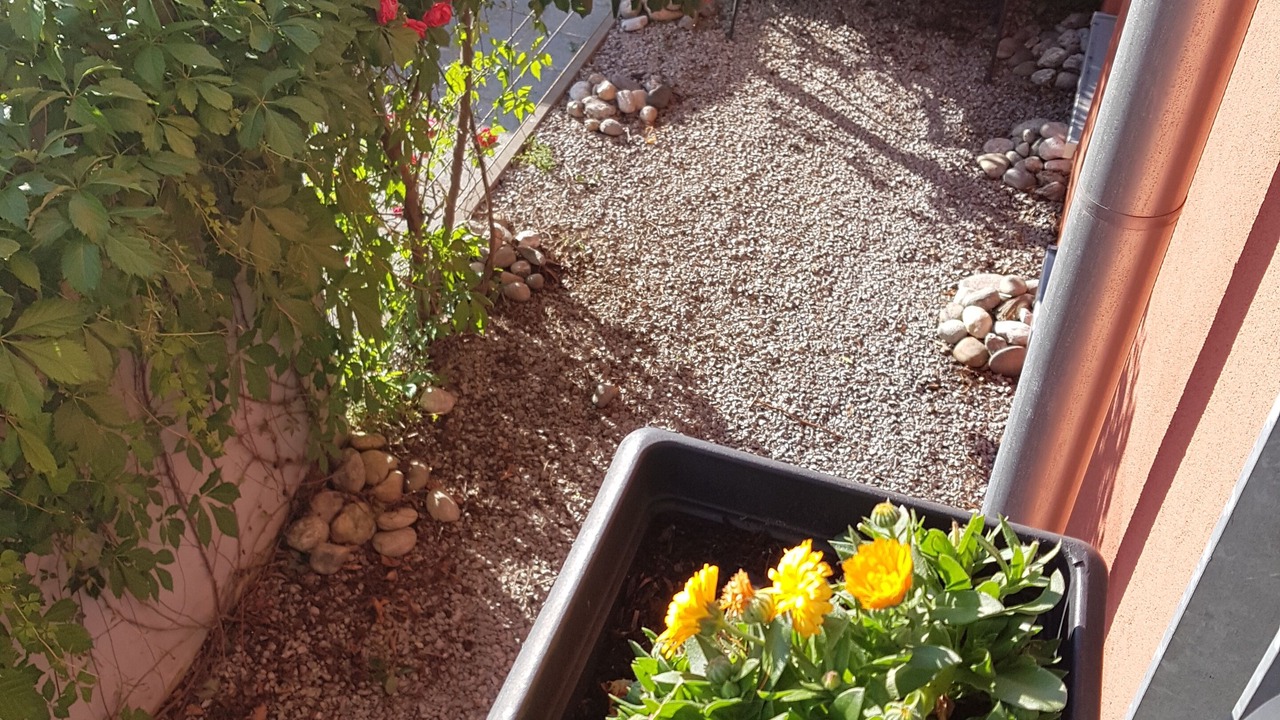 Photo of Outdoor in Weststadt