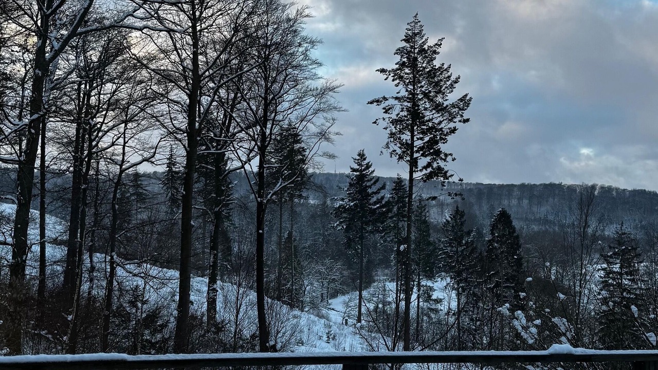 Photo of Outdoor in Warstein