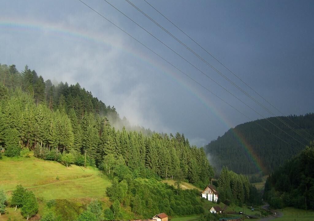 Photo of Others in Bad Rippoldsau-Schapbach