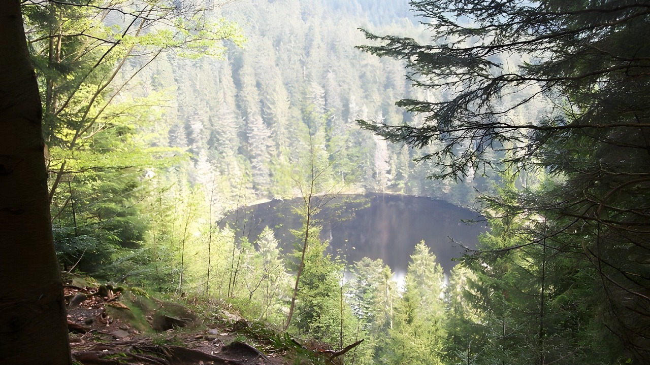 Photo of Others in Bad Rippoldsau-Schapbach