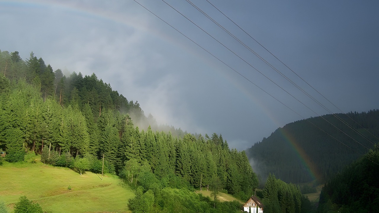 Photo of Others in Bad Rippoldsau-Schapbach