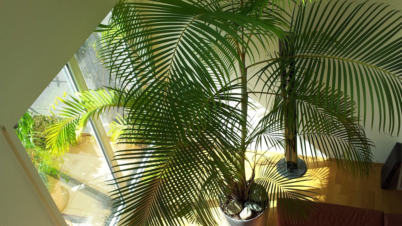 Photo of Livingroom in Ludwigsvorstadt