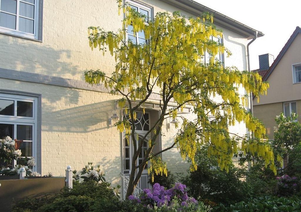 Photo of Outdoor in Bad Schwartau