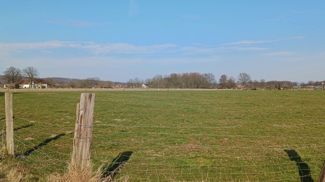 Photo of Others in Bad Laer