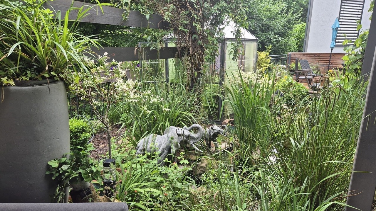 Photo of Outdoor in Sundern