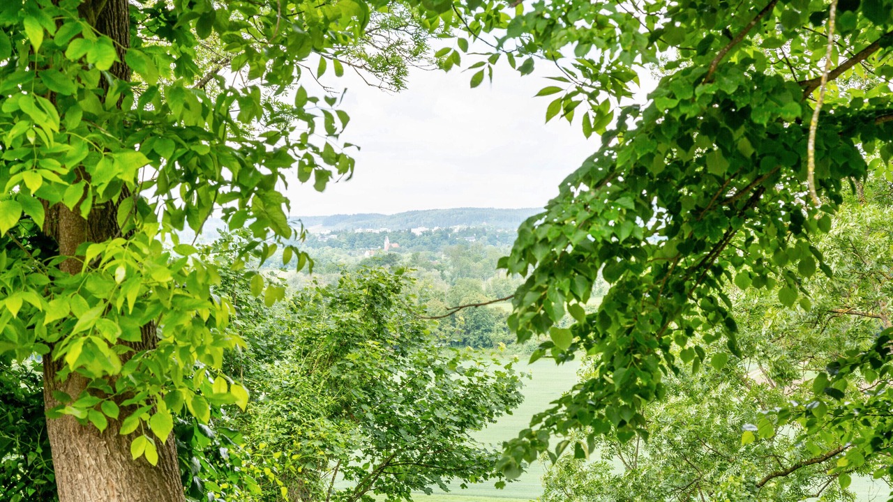Photo of Others in Kraiburg
