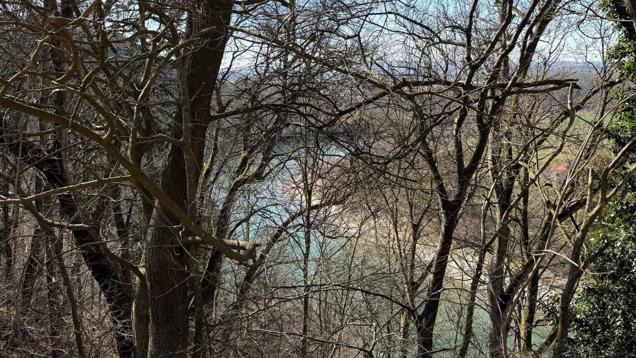 Photo of Others in Kraiburg