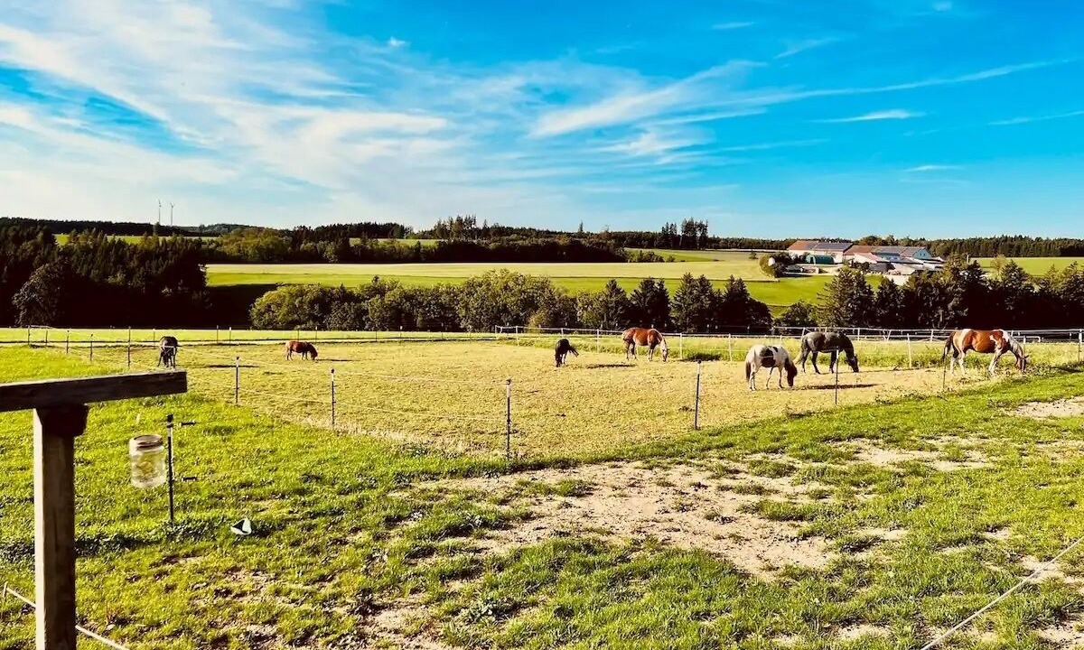 Photo of Others in Gunzach