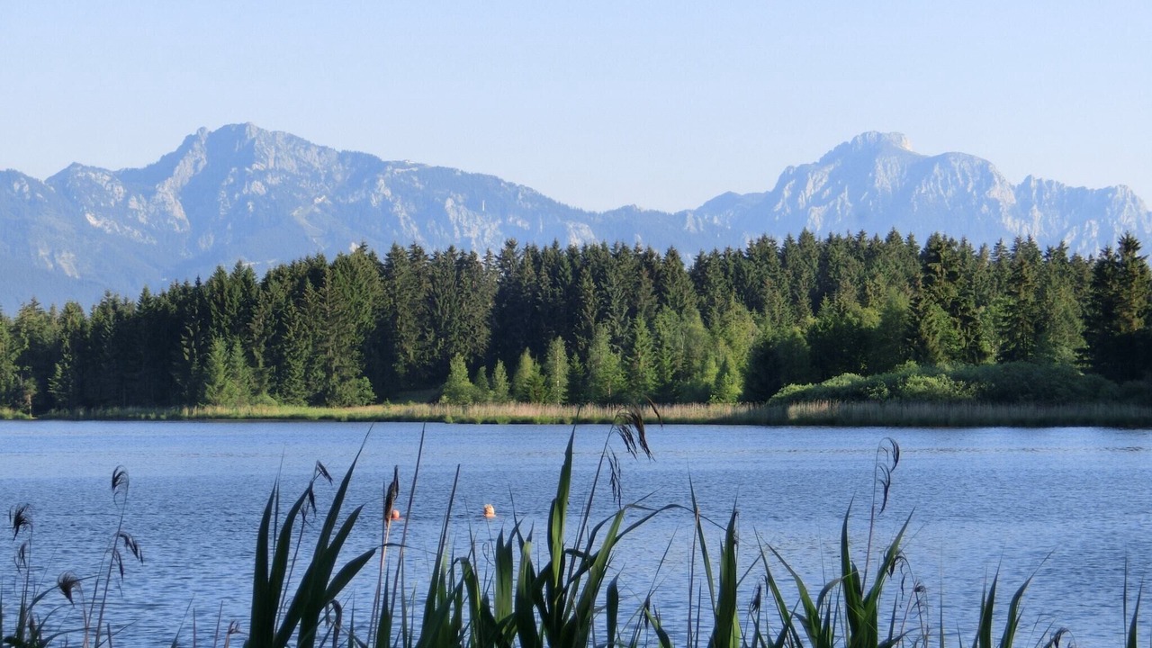 Photo of Others in Bad Bayersoien
