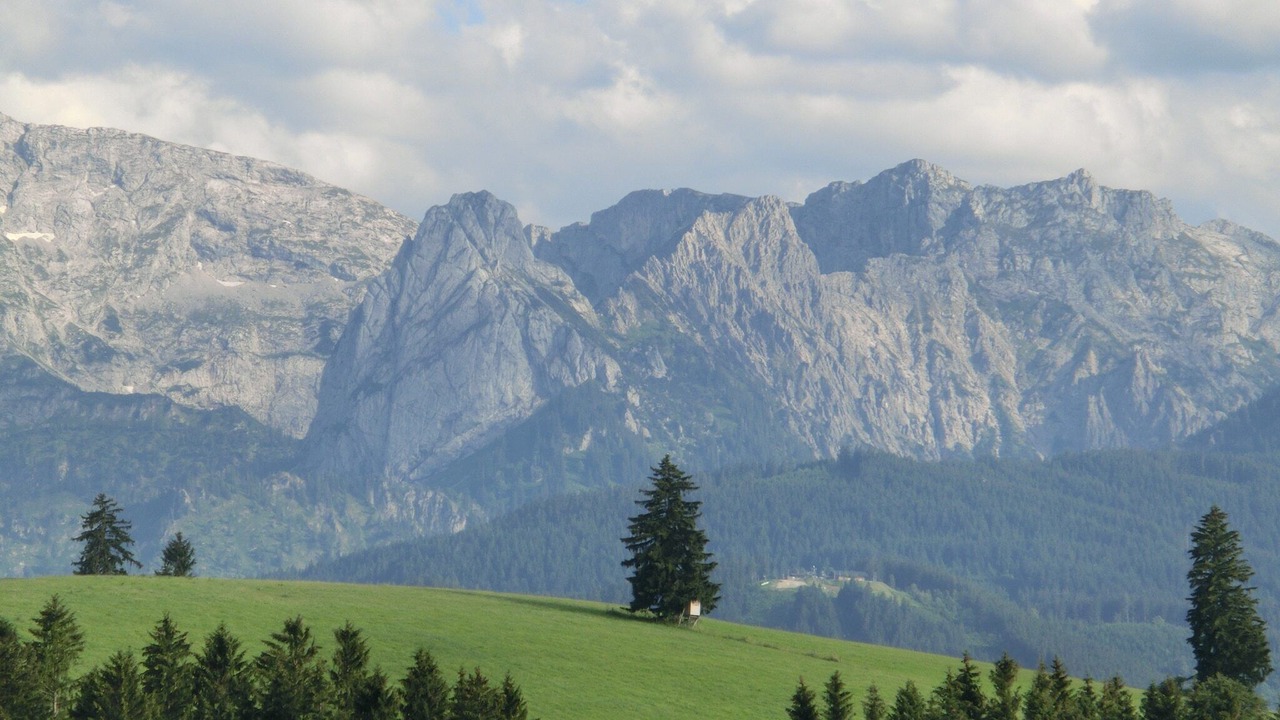 Photo of Others in Bad Bayersoien