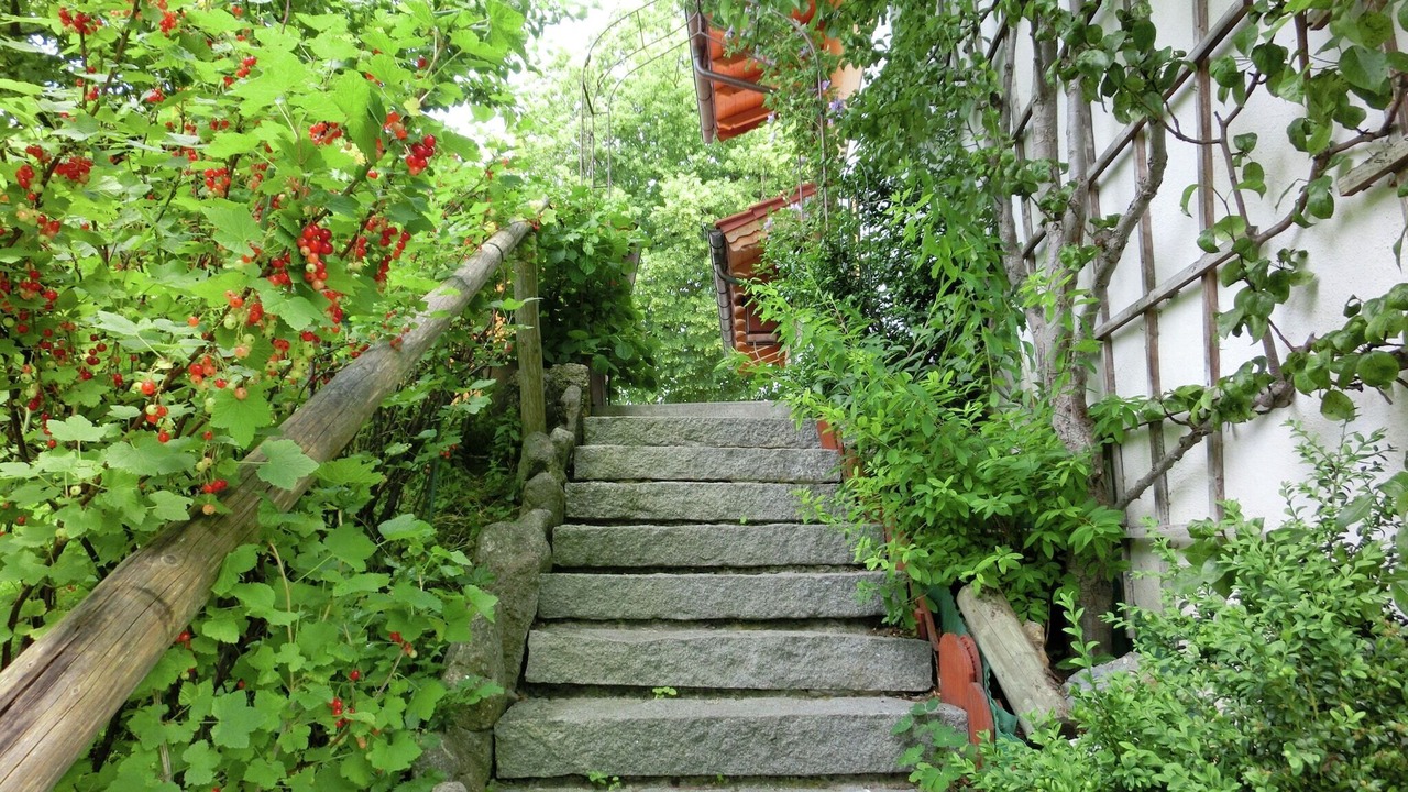Photo of Outdoor in Bad Bayersoien