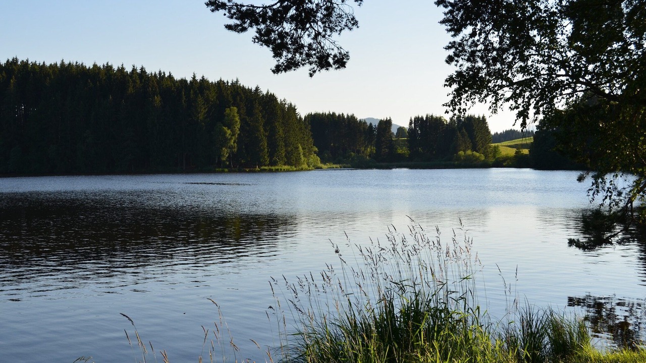 Photo of Others in Bad Bayersoien