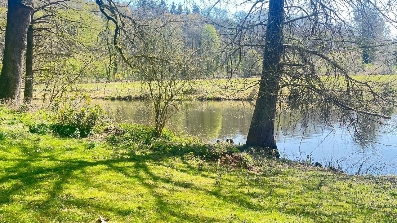 Photo of Others in Wildbach