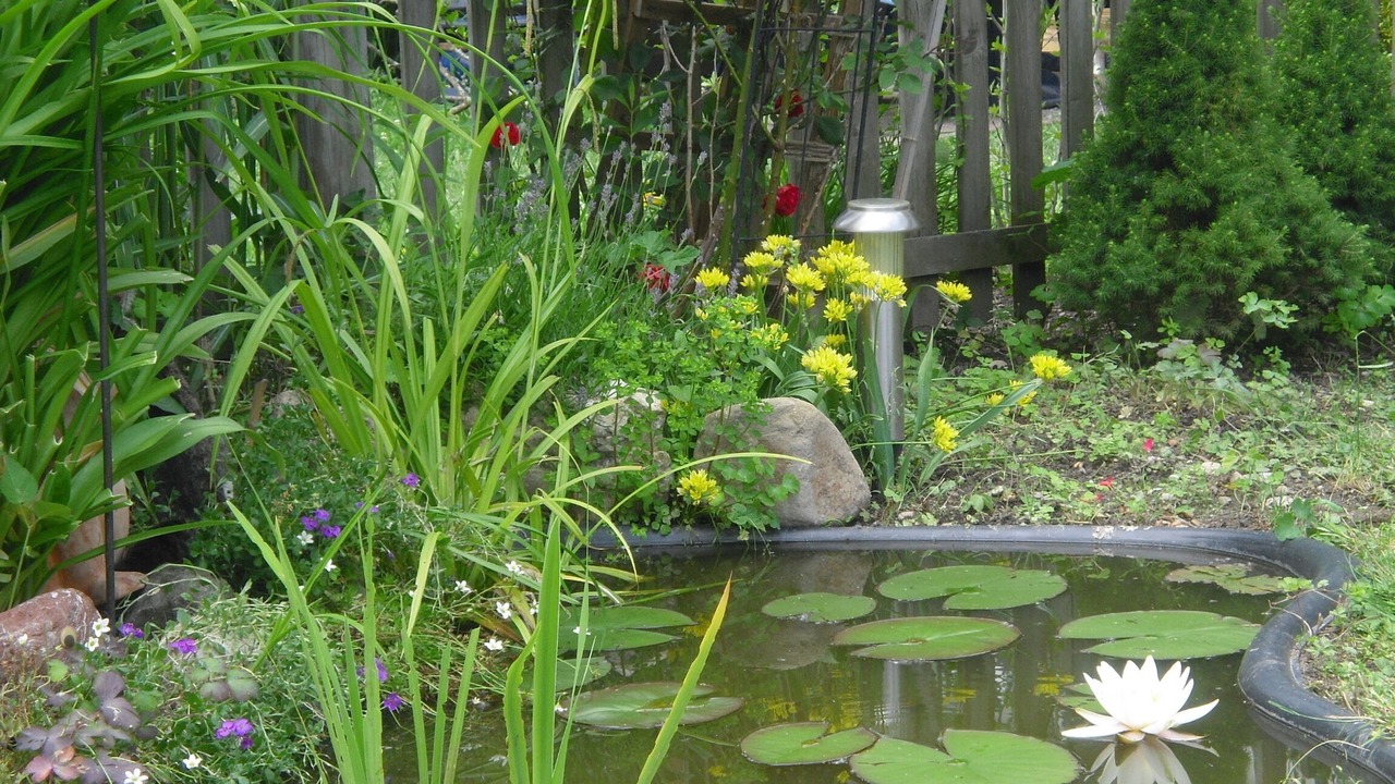 Photo of Outdoor in Burgberg