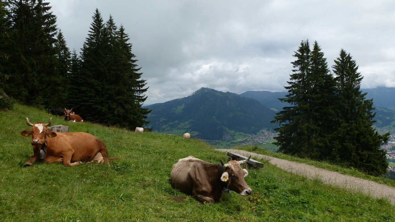 Photo of Others in Tiefenberg