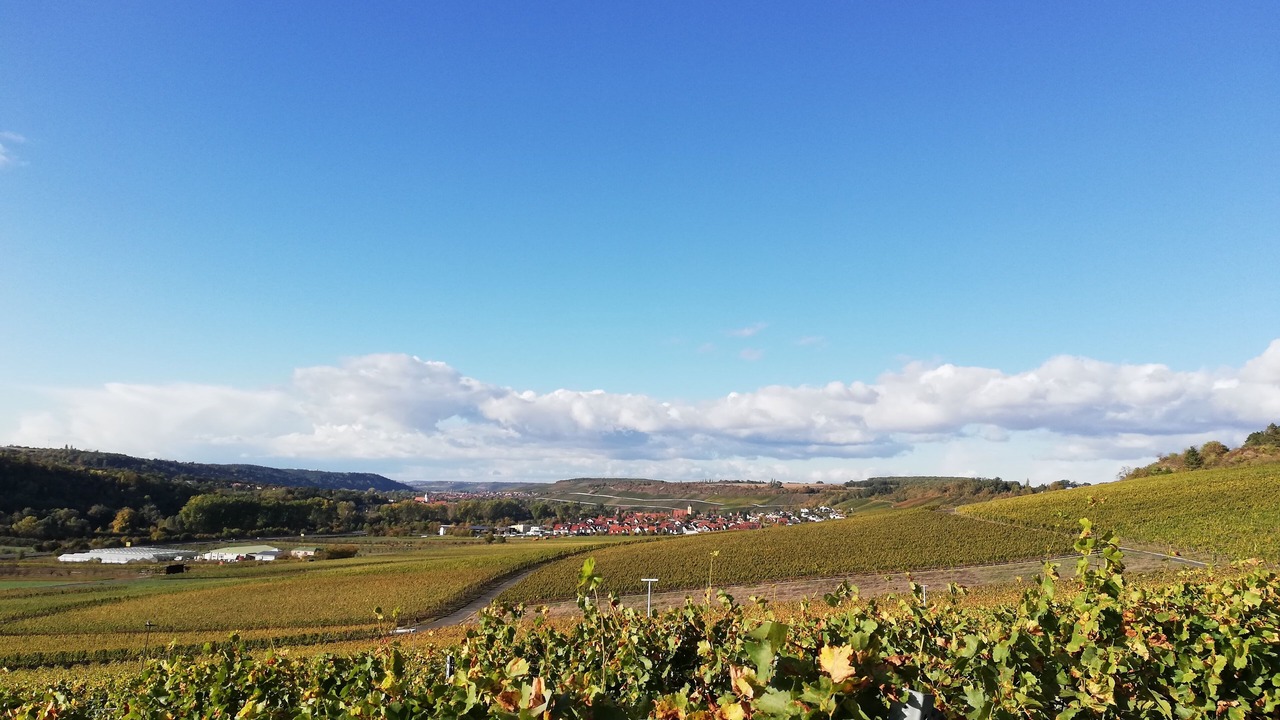 Photo of Others in Sommerhausen